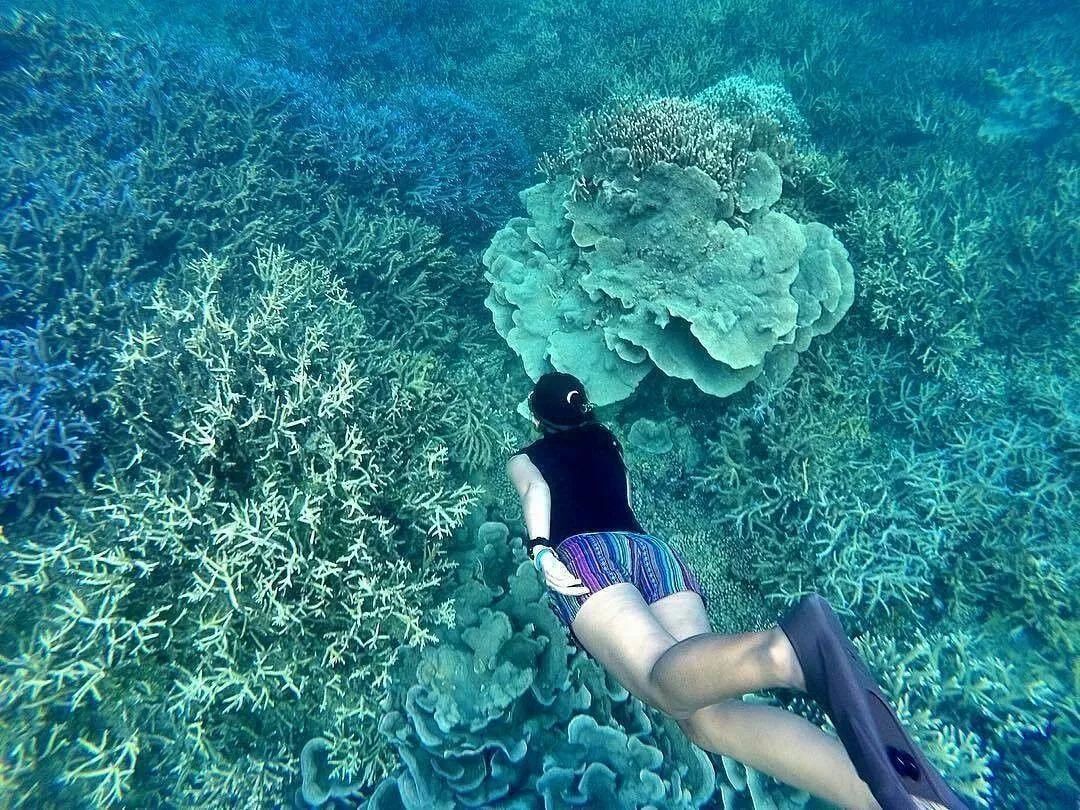 挖到一座免签直飞的超冷门海岛！火山浮潜摸小鹿，好玩秒杀巴厘岛