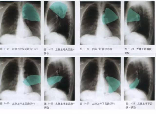小学学霸学习方法大揭秘,小学学霸学习时间表