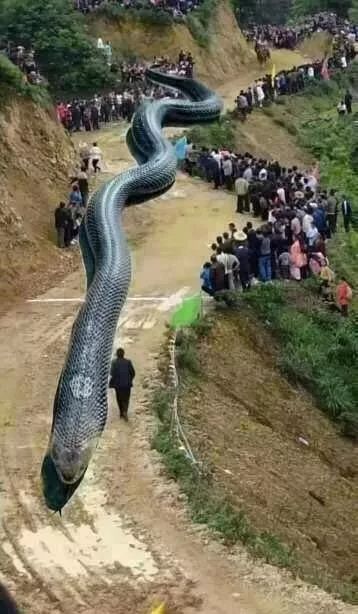 盘点全网那些防不胜防的套路,防不胜防的骗局搞笑