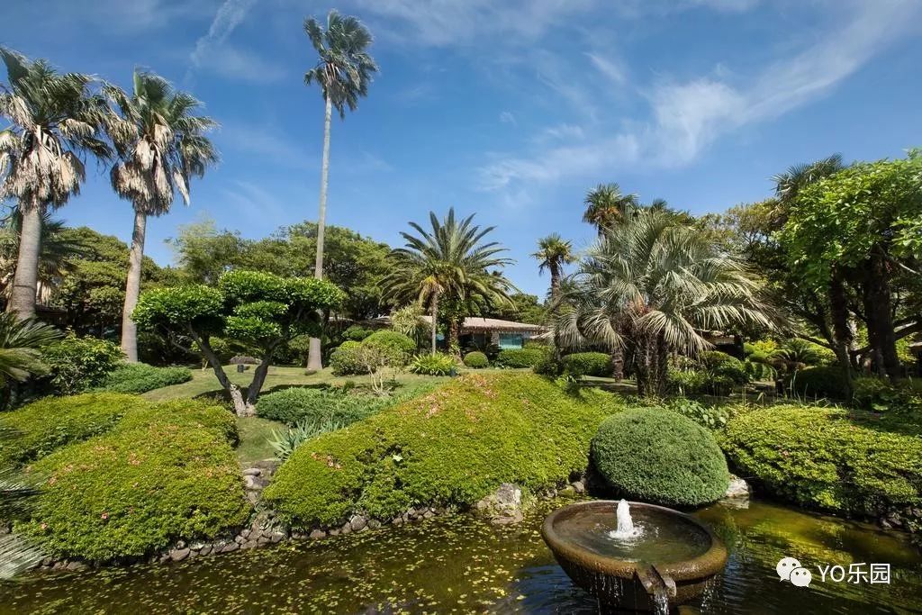 住帐篷一起看星星,住蒙古包看星星的地方