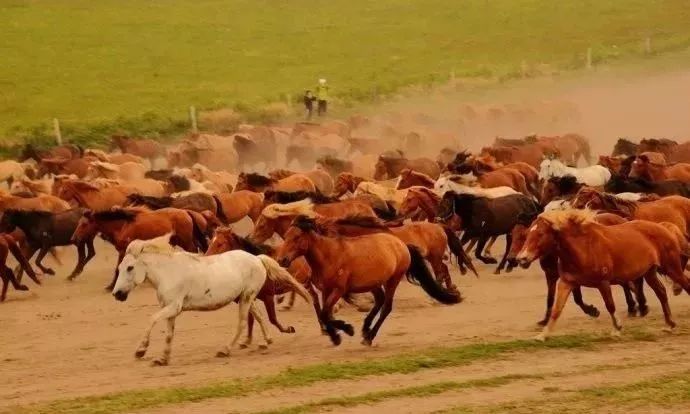 邳州广电直播间,邳州广电直播