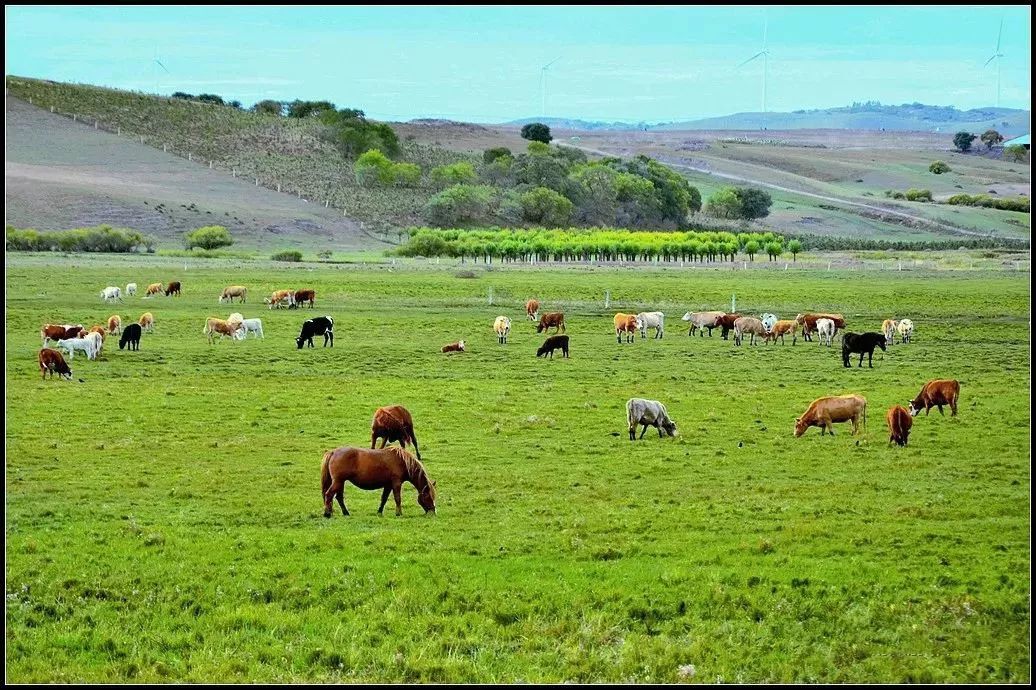 邳州广电直播间,邳州广电直播