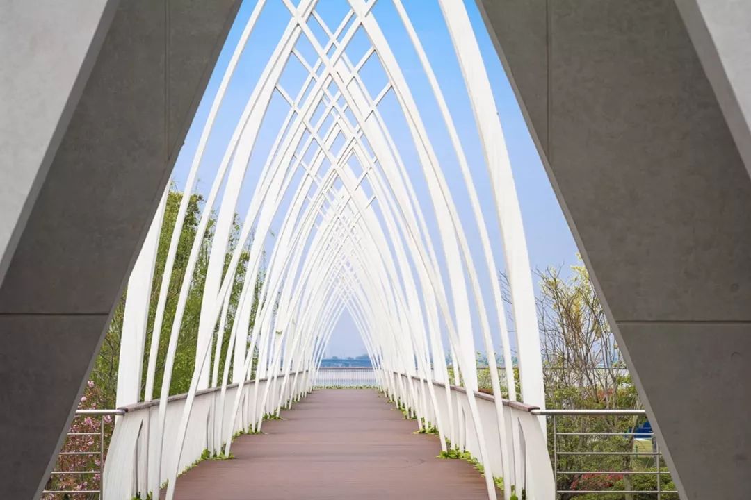 天呐!武汉这个区开挂了!反正我是羡慕了!