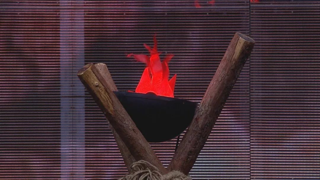 养生堂治胃病的视频全集,养生堂免疫疗法视频