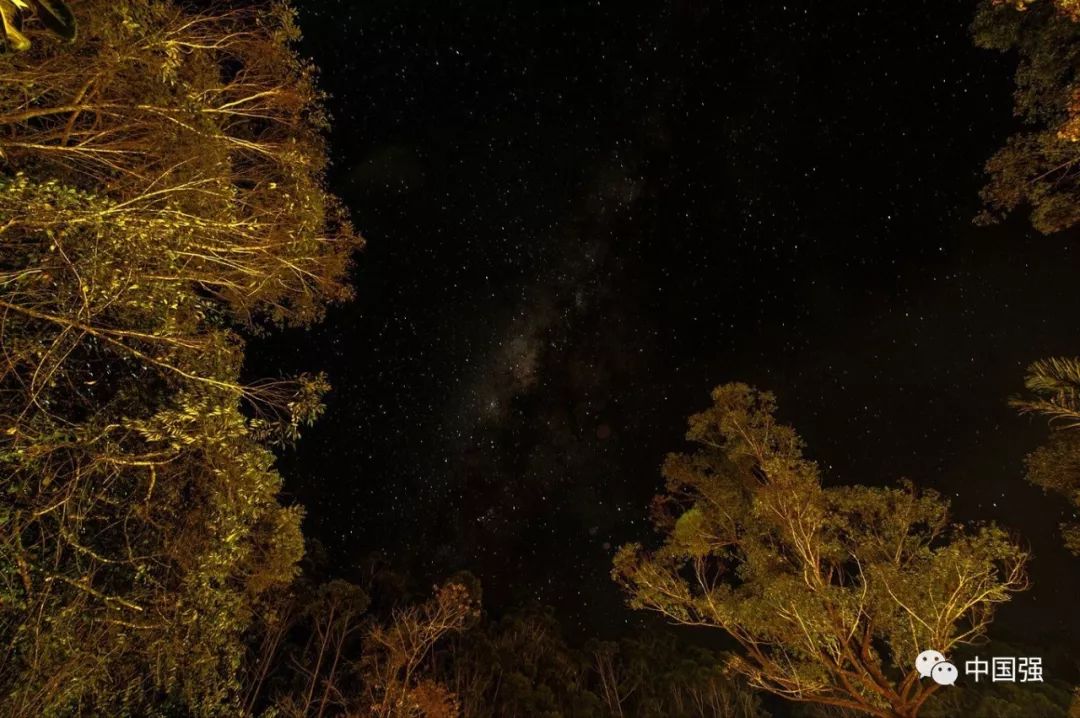 马达加斯加不可思议的旅行,马达加斯加自然景观