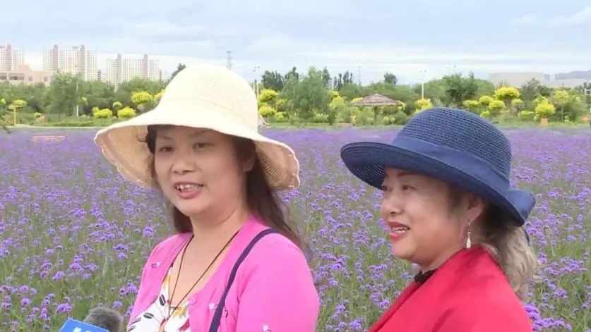 紫金苑风光无限,紫金苑景区花海