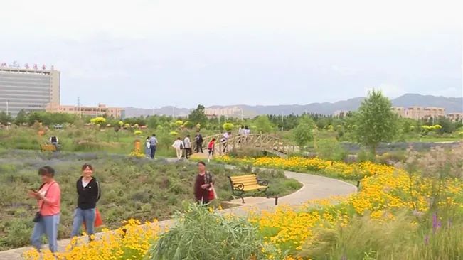 紫金苑风光无限,紫金苑景区花海