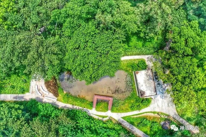 佛山凉快一点景点,佛山附近凉快的地方避暑胜地