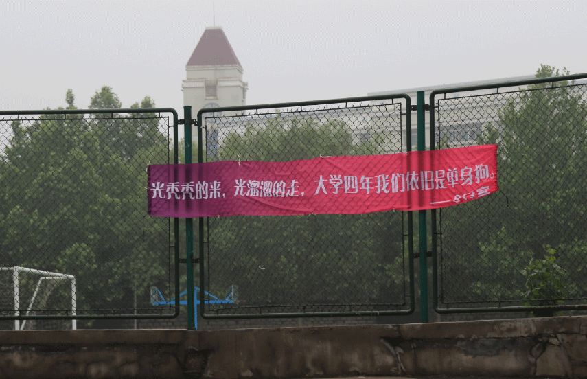 催人泪下的毕业横幅,本科毕业典礼横幅
