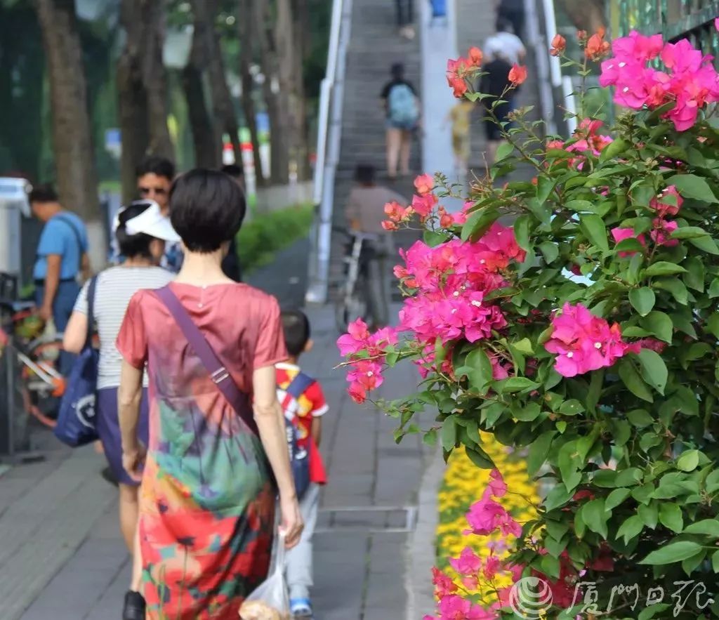 华丽升级,厦禾路哪一年改造