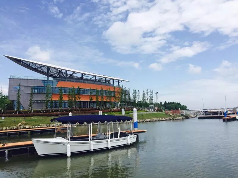 魔都最新网红地,魔都新晋打卡