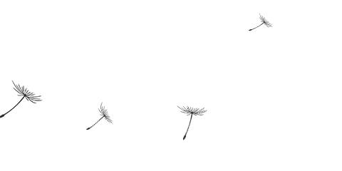 南翔：生活中处处是生态、自然景象