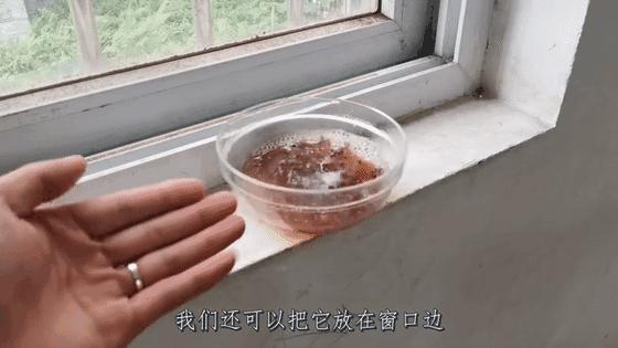 床底放花椒有什么用,床底撒花椒是什么原因