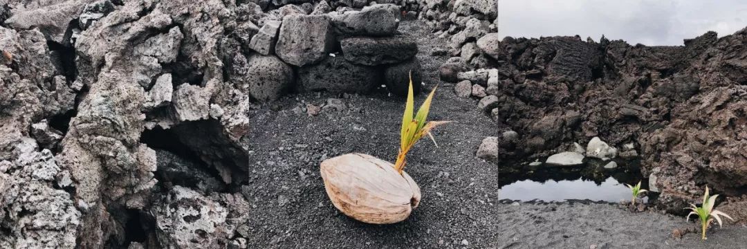 夏威夷旅游攻略阿罗哈,夏威夷maui岛旅游攻略