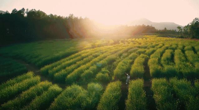 1分钱祛痘神器,祛痘神器0元领取