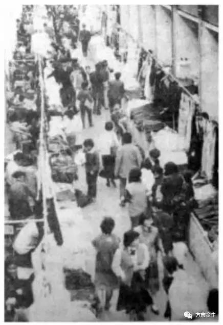 新发荷花池,新荷花池