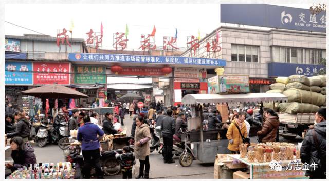 新荷花池,2020年新荷花池