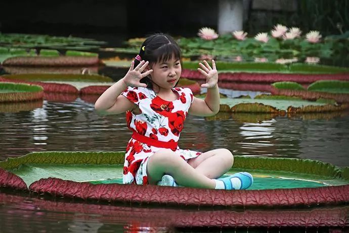 挑战全网老司机完整版视频,挑战老司机