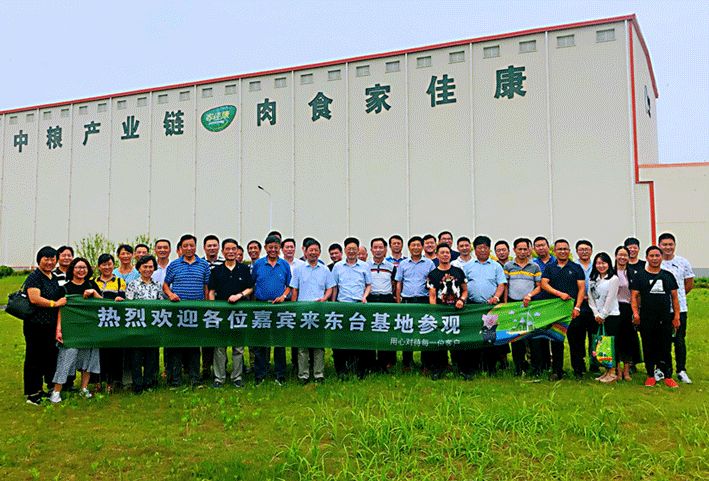 南京菜篮子工程,南京菜篮子招商