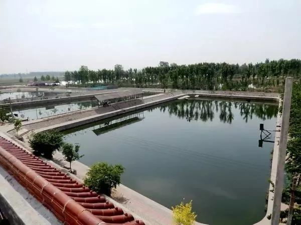 你最关心的新闻是什么,你最关心的新闻