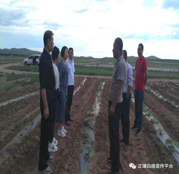 助推打赢脱贫攻坚战,决胜全面小康决战脱贫攻坚战