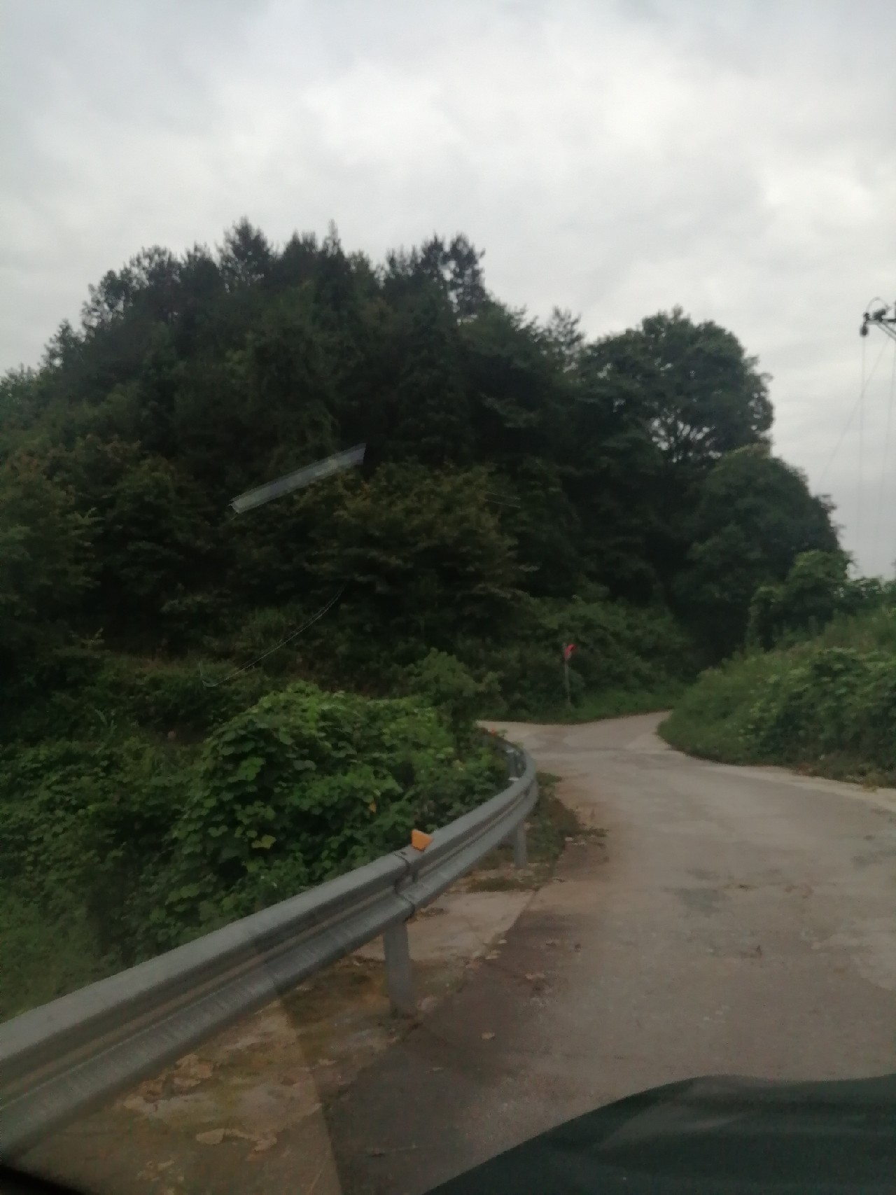 海竿篇：吟龙剑岀鞘擒鲢显风骚