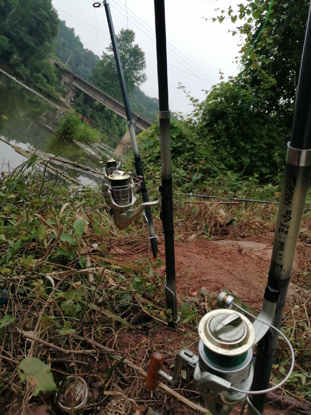 海竿篇：吟龙剑岀鞘擒鲢显风骚