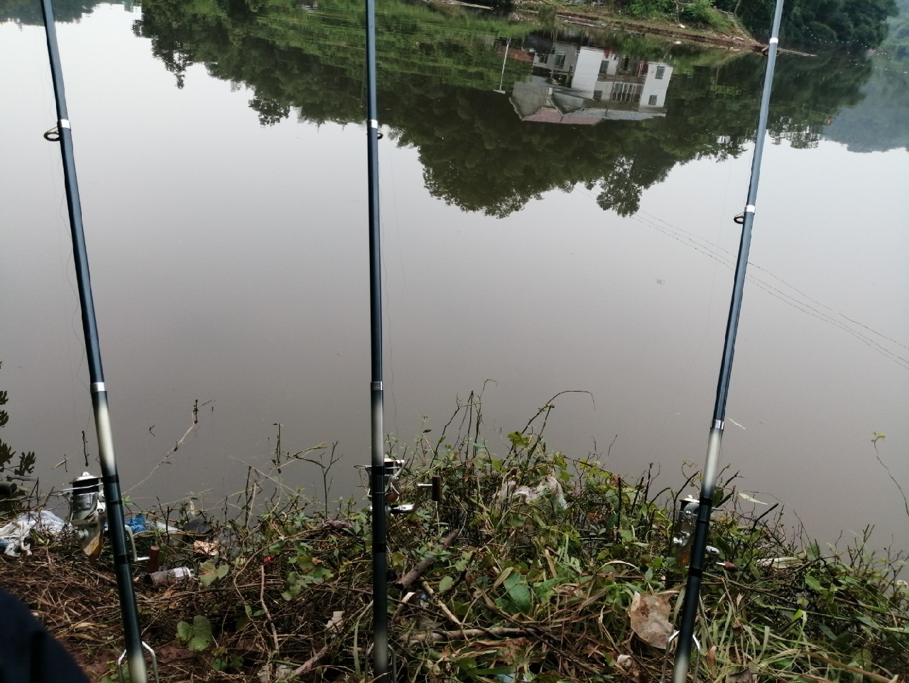 海竿篇：吟龙剑岀鞘擒鲢显风骚