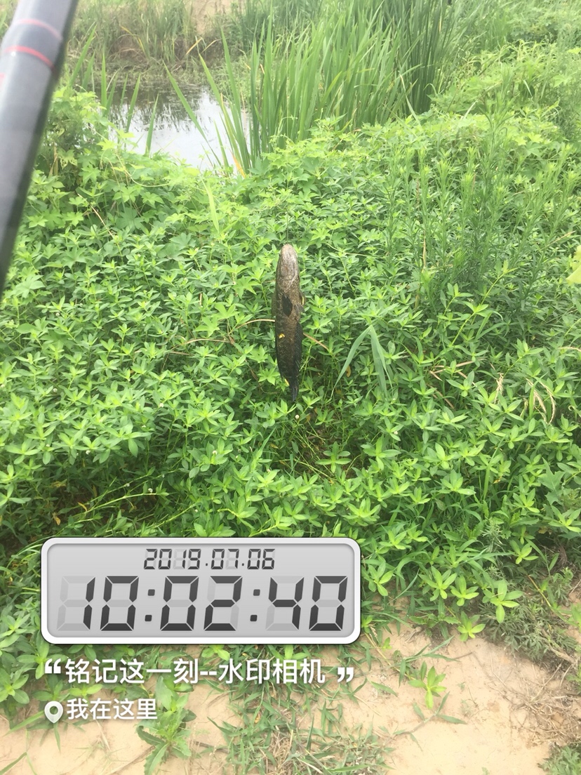 雷强2020年视频,2019雷强视频