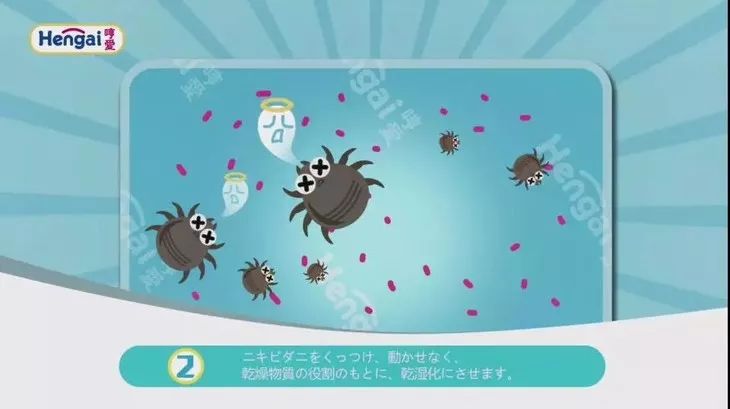 160万只螨虫的克星,4000多条螨虫