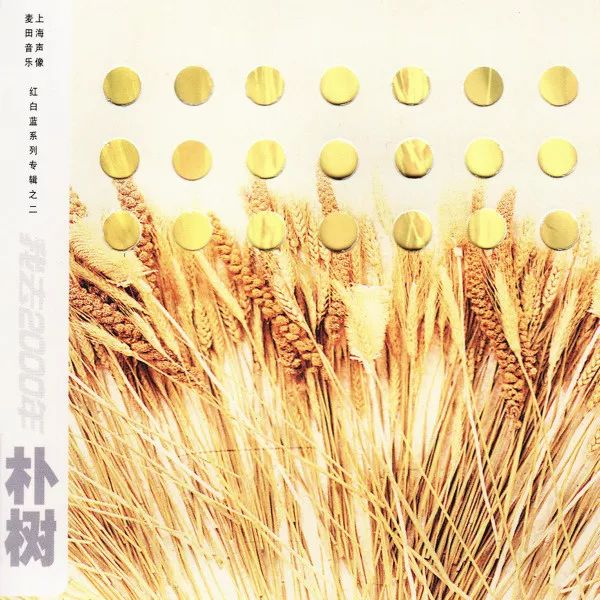 为什么朴树这么火,为什么朴树弹吉他左手不动