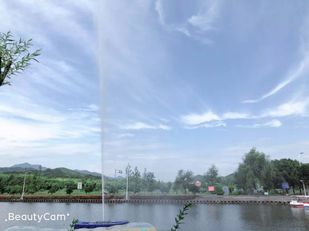 动物谷乐园,动物山谷乐园