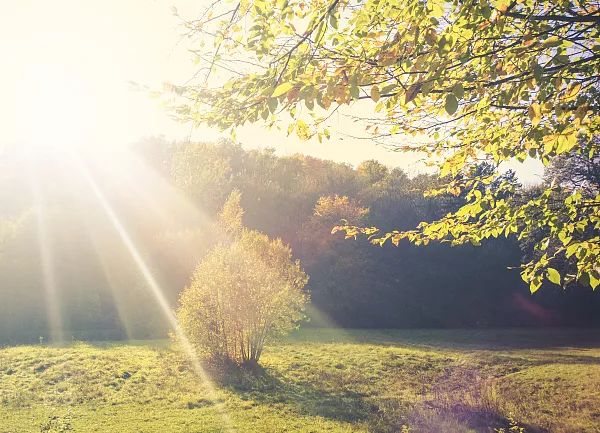 夏季空调扇制冷,空调扇哪款制冷好又省电