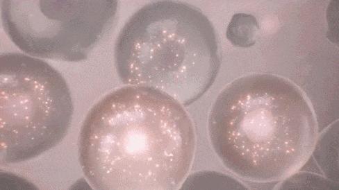 黑科技一秒祛斑,黑科技美白真的有效吗