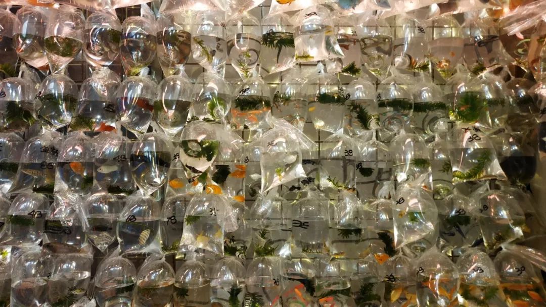 香港值得去的购物街,香港购物必去的街