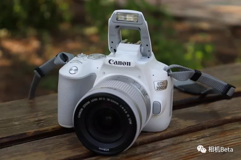 小单反相机入门,最小的单反相机有哪些