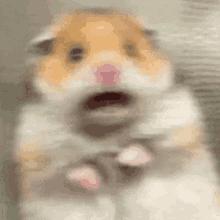 蚊子驱蚊音乐,蚊子灭蚊神曲