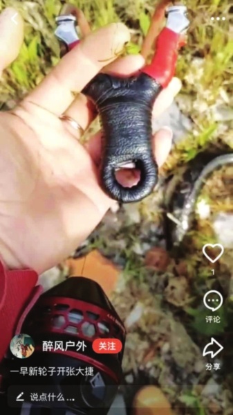 在河里捕鱼的捕鱼神器,用捕鱼器来钓小鱼