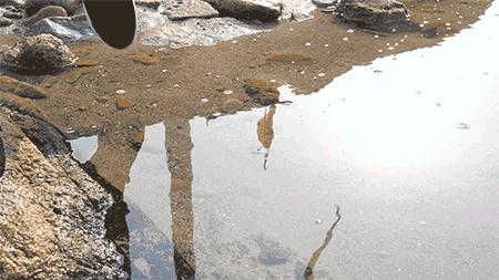 这双运动鞋竟然防水！暴雨大雪都不湿，还巨暖和