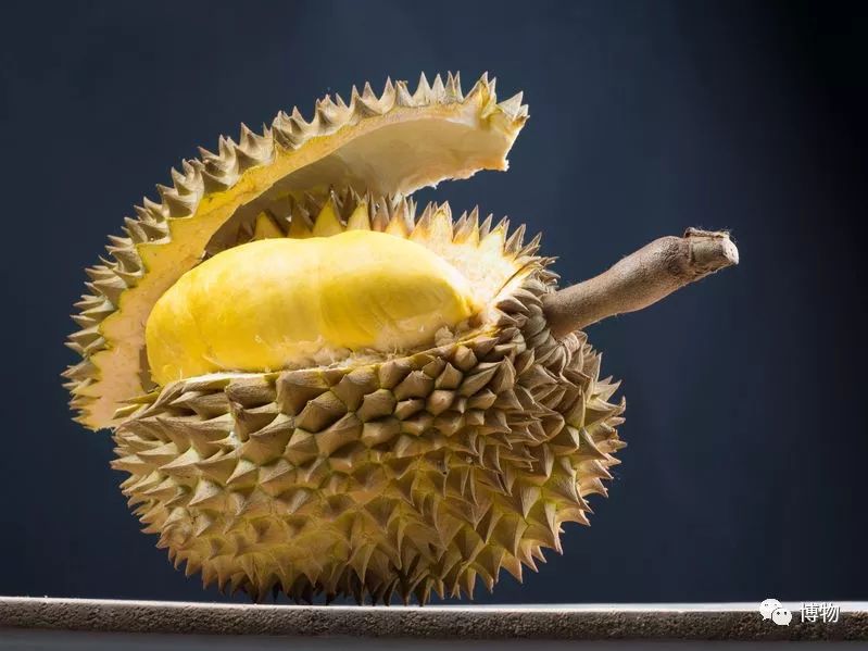 榴莲到底是啥味道,榴莲到底是甜的还是臭的