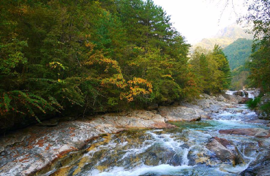 陕西最具发展潜力的5个县,陕西未来5年搬迁村名单