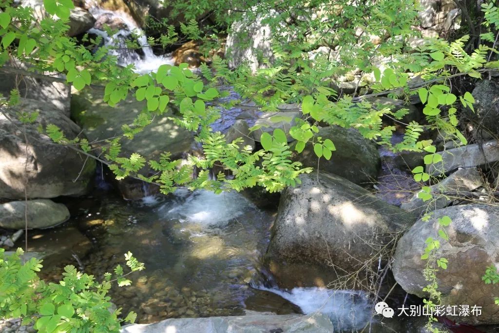 领取夏季福利通知,广大同胞们的夏季福利