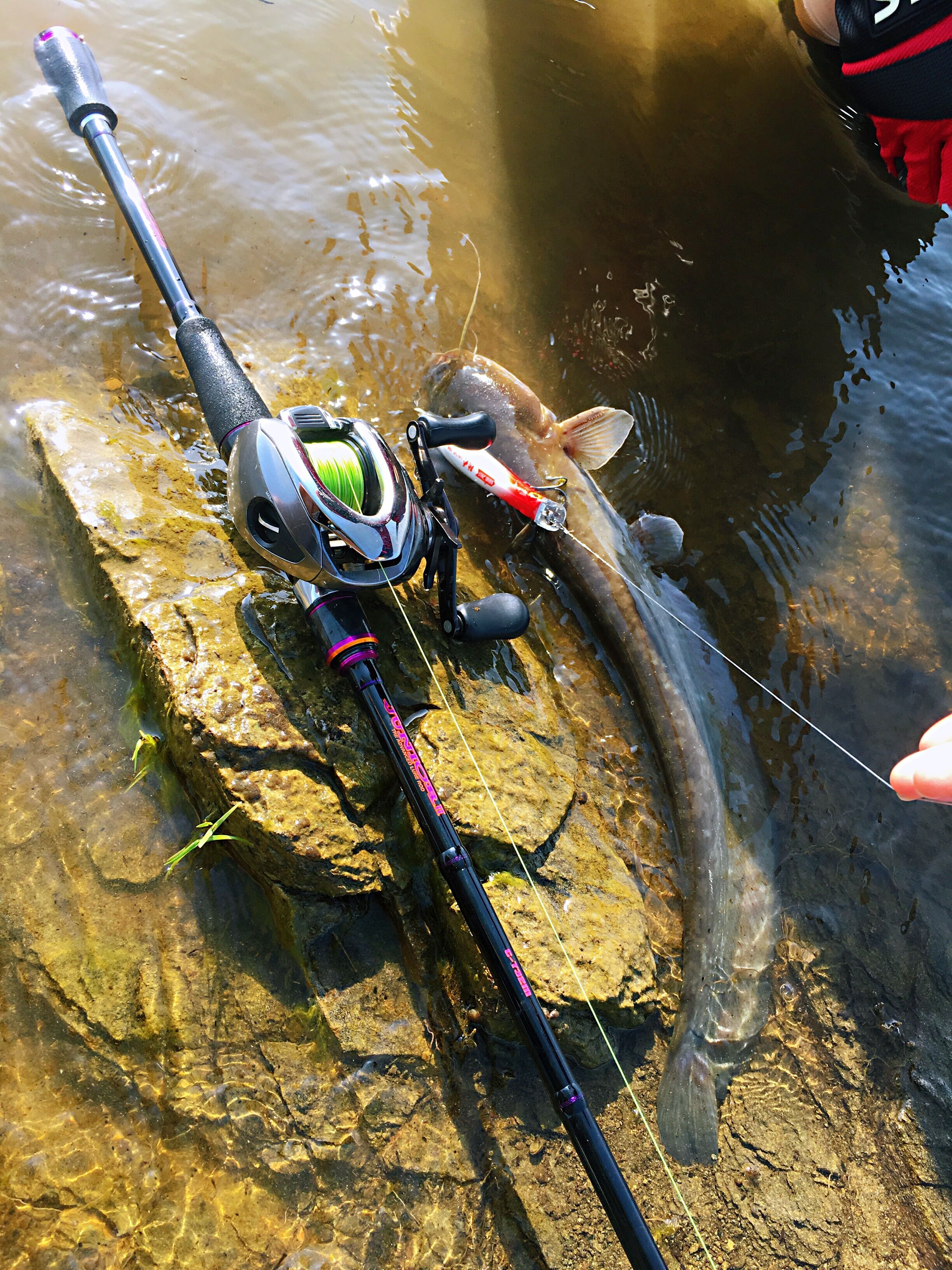 丽娜钓鱼,丽娜的钓鱼日记