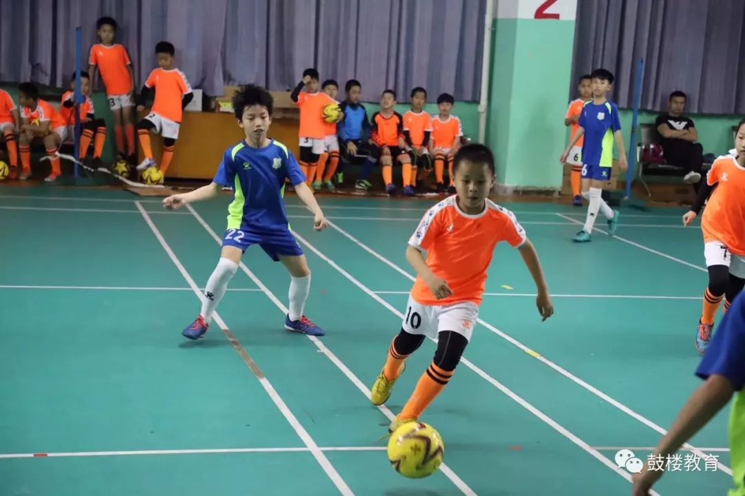 牛娃获奖视频,牛娃游泳冠军