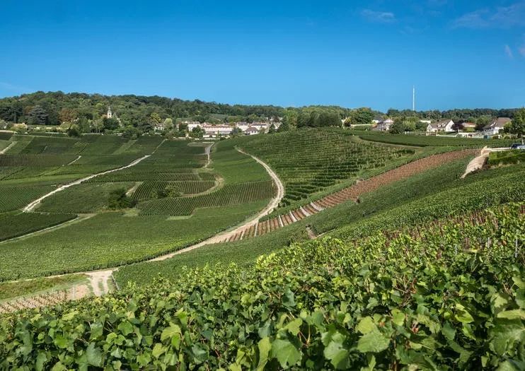 「旅游」“全民暑假”开启!想出去浪?看看法国人青睐的暑期旅行目的地吧