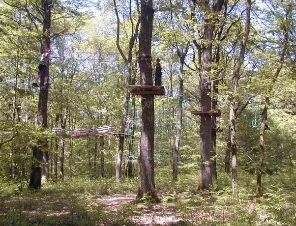 鏍戦《鎺㈤櫓鍏洯娓哥帺,鏍戦《鎺㈤櫓鍏洯娓哥帺鏀荤暐