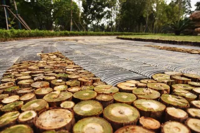 天呐!武汉这个区开挂了!反正我是羡慕了!