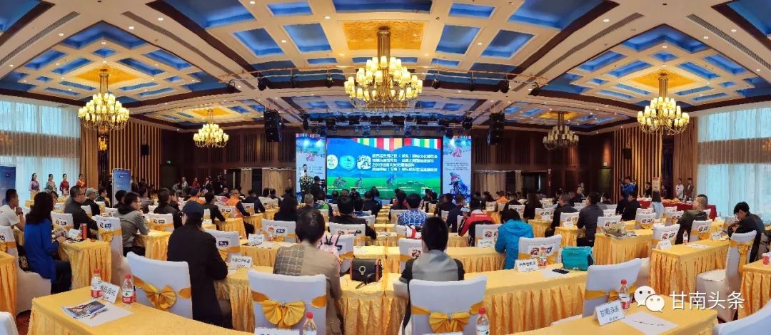 刚刚！大咖云集首届中国（甘南）骑行旅游发展高峰论坛共话“骑行+旅游”