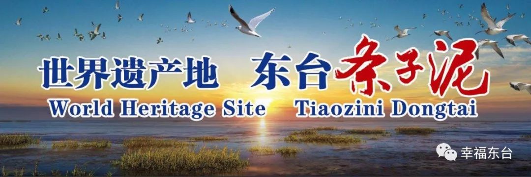 东台支柱产业,江苏东台的制造业