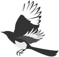 盐湖城总决赛2019,区运会足球比赛决赛